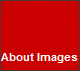 About Images